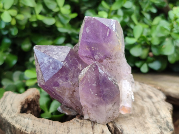 Natural Jacaranda Amethyst Quartz Clusters x 3 from Mumbwa, Zambia