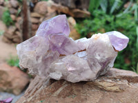 Natural Jacaranda Amethyst Quartz Clusters x 3 from Mumbwa, Zambia