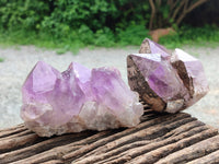 Natural Jacaranda Amethyst Quartz Clusters x 3 from Mumbwa, Zambia