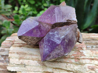 Natural Jacaranda Amethyst Quartz Clusters x 3 from Mumbwa, Zambia