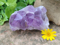 Natural Jacaranda Amethyst Quartz Clusters x 3 from Mumbwa, Zambia