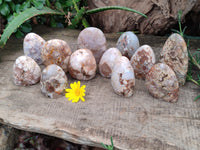 Polished Flower Agate Standing Free Forms x 12 From Antsahalova, Madagascar