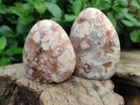 Polished Flower Agate Standing Free Forms x 12 From Antsahalova, Madagascar