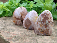 Polished Flower Agate Standing Free Forms x 12 From Antsahalova, Madagascar