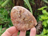 Polished Flower Agate Standing Free Forms x 12 From Antsahalova, Madagascar