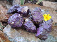 Natural Metallic Purpurite Cobbed Specimens x 6 From Erongo, Namibia