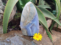 Polished Blue Lace Agate Standing Free Form x 1 From Malawi