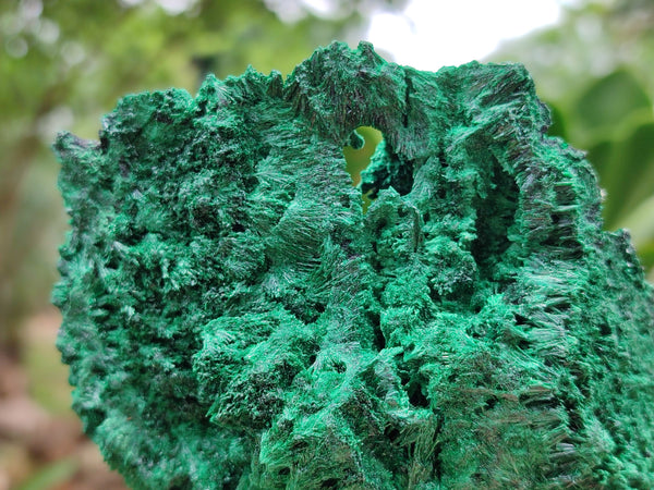 Natural Silky Malachite Specimens x 3 From Kasompe, Congo