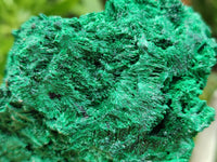 Natural Silky Malachite Specimens x 3 From Kasompe, Congo