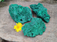 Natural Silky Malachite Specimens x 3 From Kasompe, Congo