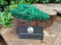 Natural Silky Malachite Specimens x 3 From Kasompe, Congo