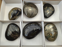 Polished Pharaoh Stone Palm Stones x 6 From Zimbabwe