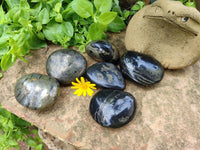 Polished Pharaoh Stone Palm Stones x 6 From Zimbabwe