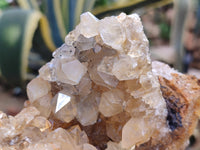 Natural Limonite Quartz Clusters x 4 From Zambia