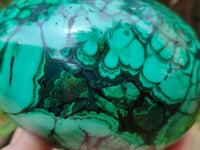 Polished Flower Banded Malachite Gemstone Eggs x 2 From Congo