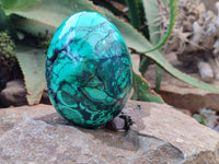 Polished Flower Banded Malachite Gemstone Eggs x 2 From Congo