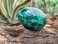 Polished Flower Banded Malachite Gemstone Eggs x 2 From Congo