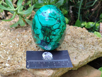 Polished Flower Banded Malachite Gemstone Eggs x 2 From Congo