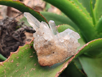 Natural Mixed Quartz Clusters x 35 From Madagascar