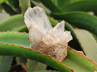 Natural Mixed Quartz Clusters x 35 From Madagascar