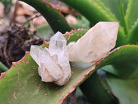 Natural Mixed Quartz Clusters x 35 From Madagascar