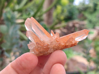 Natural Mixed Quartz Clusters x 35 From Madagascar