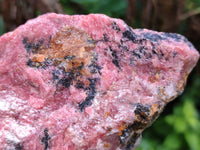 Natural Rhodonite Specimens x 2 From Zimbabwe