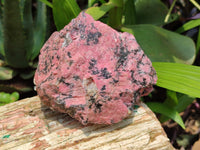 Natural Rhodonite Specimens x 2 From Zimbabwe