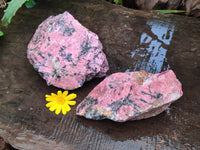 Natural Rhodonite Specimens x 2 From Zimbabwe