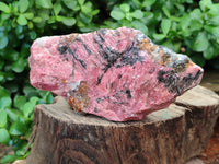 Natural Rhodonite Specimens x 2 From Zimbabwe