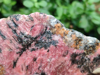 Natural Rhodonite Specimens x 2 From Zimbabwe