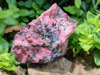 Natural Rhodonite Specimens x 2 From Zimbabwe