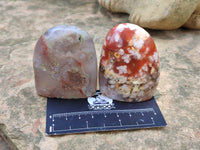 Polished Flower Agate Standing Free Forms x 12 From Madagascar