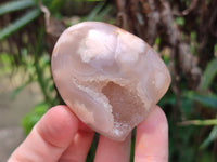 Polished Flower Agate Standing Free Forms x 12 From Madagascar