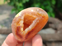 Polished Flower Agate Standing Free Forms x 12 From Madagascar