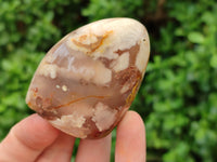 Polished Flower Agate Standing Free Forms x 12 From Madagascar