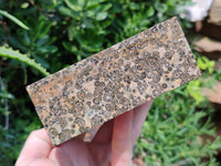 Hand Made Snakeskin Jasper Jewellery Box x 1 From Australia