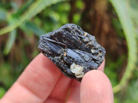 Natural Black Tourmaline Specimens x 2.5 Kg Lot From Zimbabwe