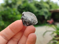 Natural Black Tourmaline Specimens x 2.5 Kg Lot From Zimbabwe