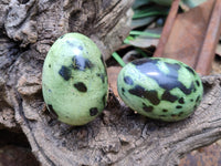 Polished Leopard Stone Gemstone Eggs x 4 From Zimbabwe