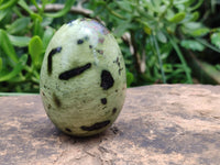 Polished Leopard Stone Gemstone Eggs x 4 From Zimbabwe