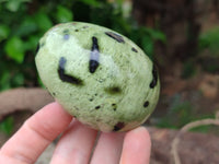 Polished Leopard Stone Gemstone Eggs x 4 From Zimbabwe