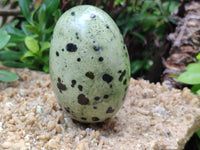 Polished Leopard Stone Gemstone Eggs x 4 From Zimbabwe