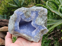 Natural Blue Lace Agate Geode Specimens x 2 From Malawi