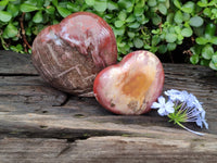 Polished Podocarpus Petrified Wood Hearts x 2 From Mahajanga, Madagascar