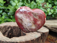 Polished Podocarpus Petrified Wood Hearts x 2 From Mahajanga, Madagascar