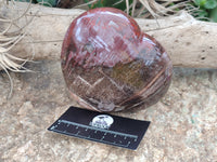 Polished Podocarpus Petrified Wood Hearts x 2 From Mahajanga, Madagascar