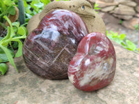 Polished Podocarpus Petrified Wood Hearts x 2 From Mahajanga, Madagascar