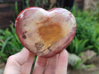 Polished Podocarpus Petrified Wood Hearts x 2 From Mahajanga, Madagascar