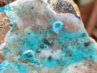 Natural Drusy Coated Chrysocolla Specimen x 1 From Likasi, Congo